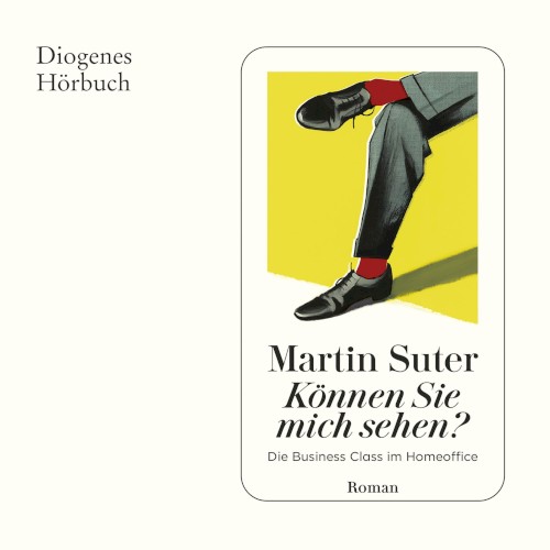 Können Sie mich sehen? Die Business Class im Homeoffice (Ungekürzt)