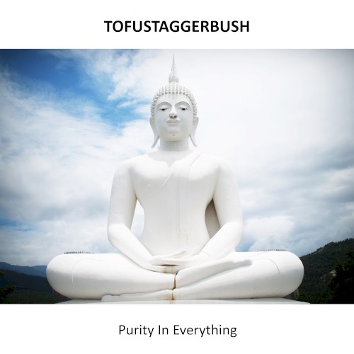 Purity In Everything