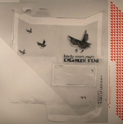 Engineer Fear