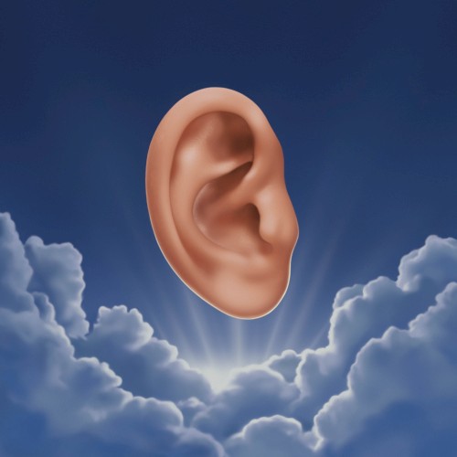 Have You Heard?