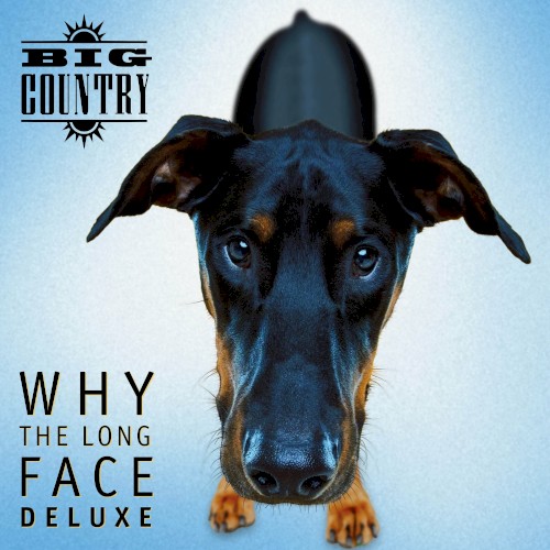Why the Long Face