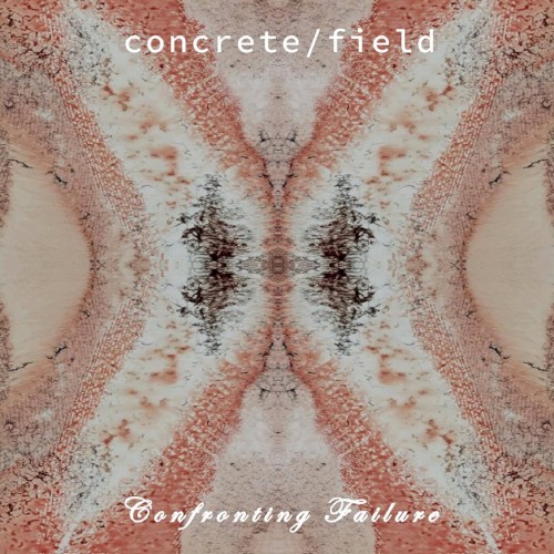 Confronting Failure