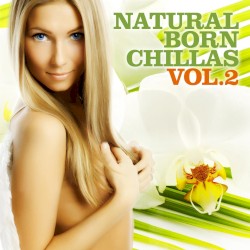 Natural Born Chillas, Volume 2: The Ultimate Lounge & Chill Out Experience