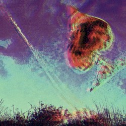 Into Oblivion