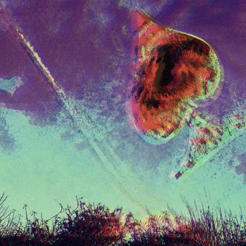 Into Oblivion