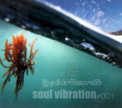 Soul Vibration 001