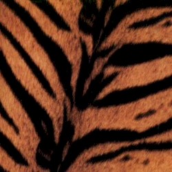Tigermobile