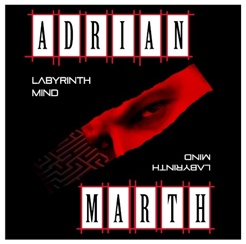 Labyrinth Mind