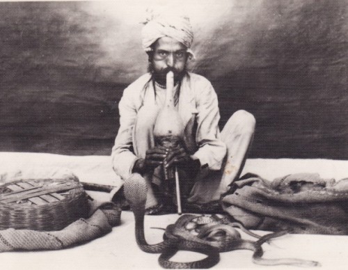 Snake Charmer