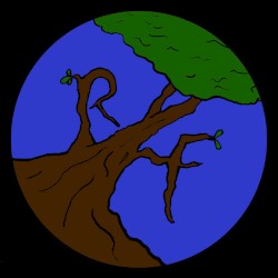 Random Fractions