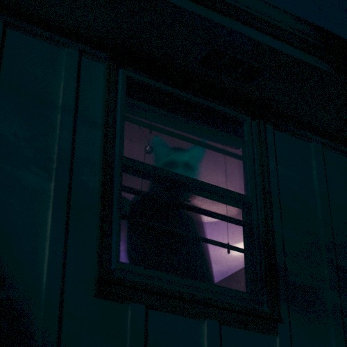 nothing is real, part VI