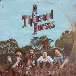 Bridges