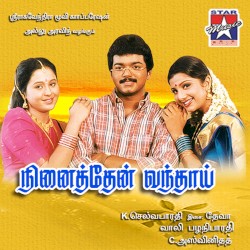 Ninaithen Vandhai