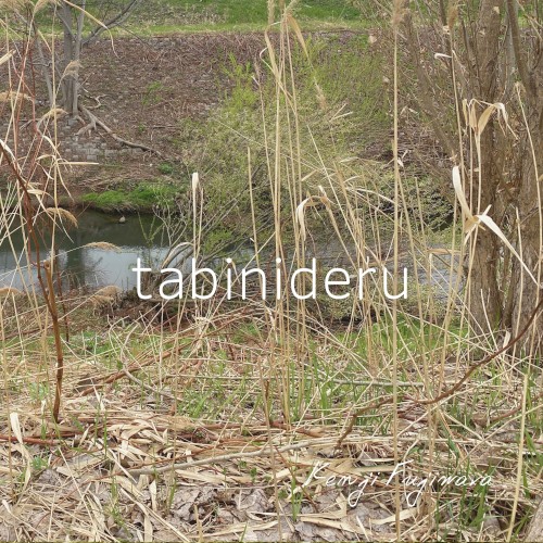 tabinideru