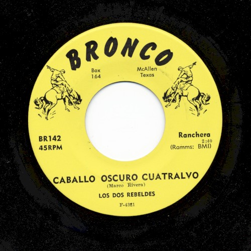 Caballo oscuro cuatralbo / Gaviota que andas haciendo