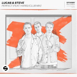 Perfect (VIP mix)