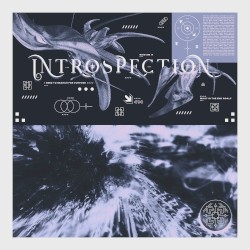 Introspection