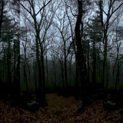 Sleepy Hollow
