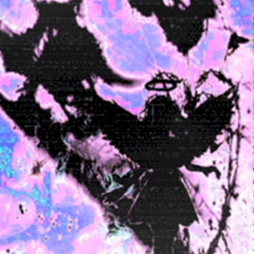 mxxnshade