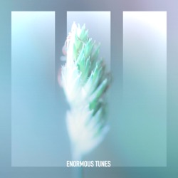 Silent Echoes