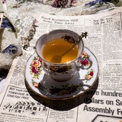 Ginseng Brew