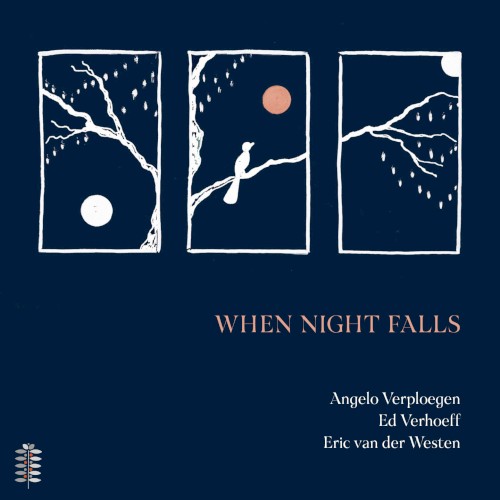 When Night Falls