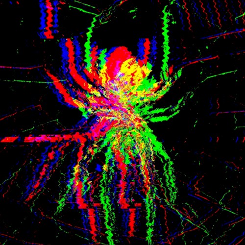 arachna