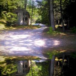 Voices from the Cabin
