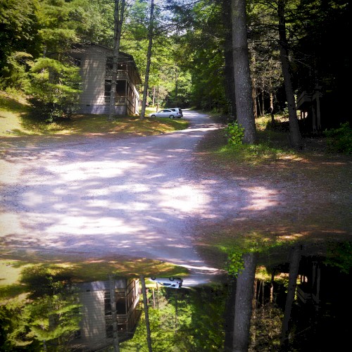 Voices from the Cabin