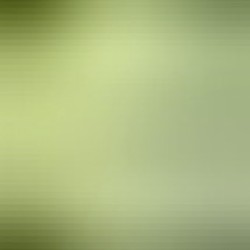 V NC V R 241