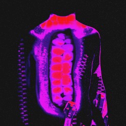 TEETH