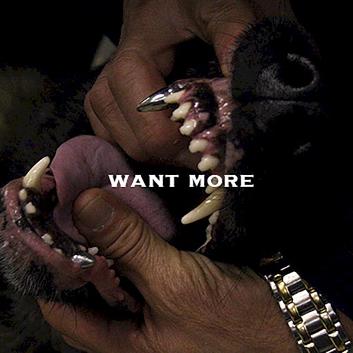 Want More