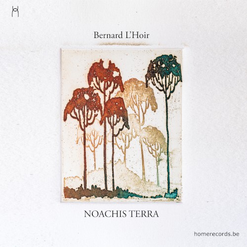 Noachis Terra