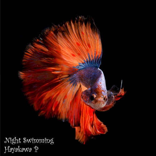 Night Swimming