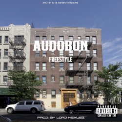Audobon Freestyle