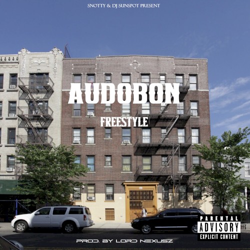 Audobon Freestyle