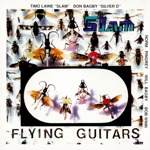 Flying Guitars