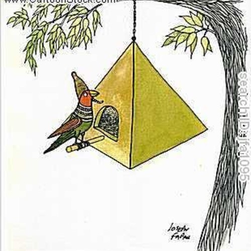 Bird Call