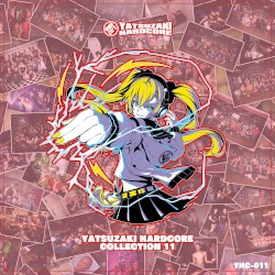 YATSUZAKI HARDCORE COLLECTION 11