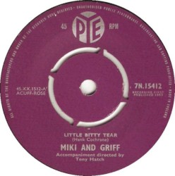 A Little Bitty Tear