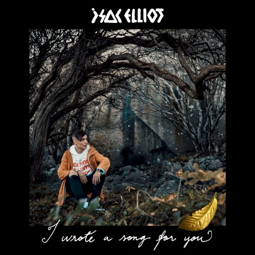 I Wrote a Song for You