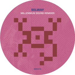 Millennium Sound Remixes (You Can't Stop The Zoid)