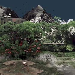Wonderland