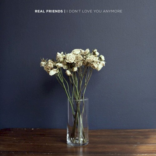 I Don't Love You Anymore