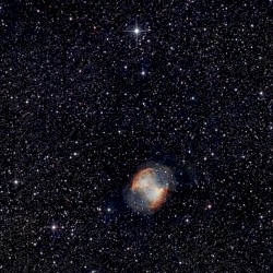 Universum