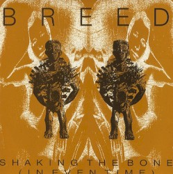 Shaking the Bone (In Even Time)