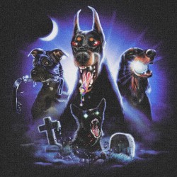 Chien Méchant