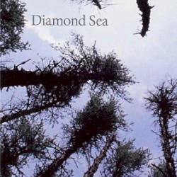 Diamond Sea