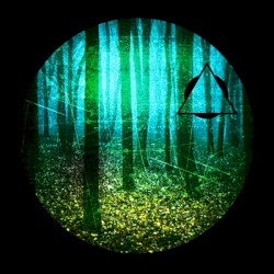 Autumn of Communion