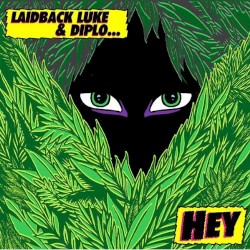 Hey
